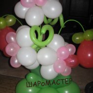 IMG_2722.jpg