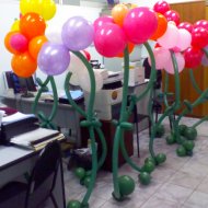 IMG00618.jpg